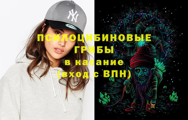 дживик Заводоуковск