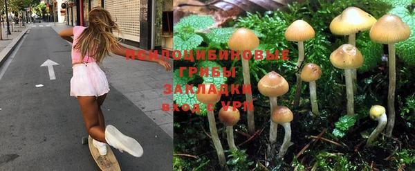 дживик Заводоуковск