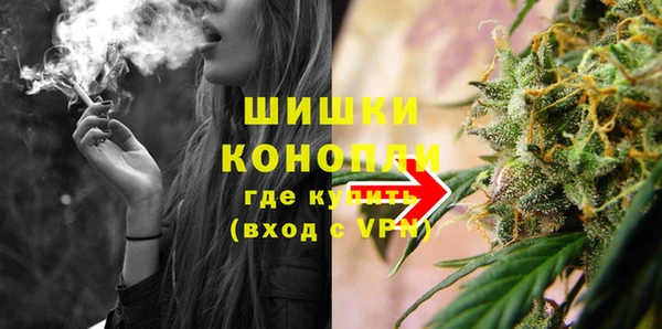 дживик Заводоуковск