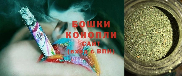 дживик Заводоуковск