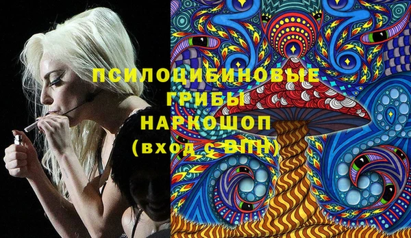 дживик Заводоуковск